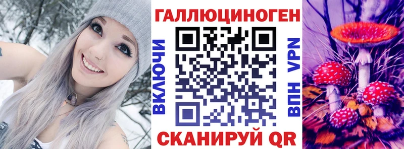 нарко площадка как зайти Котельниково Псилоцибиновые грибы Psilocybine cubensis